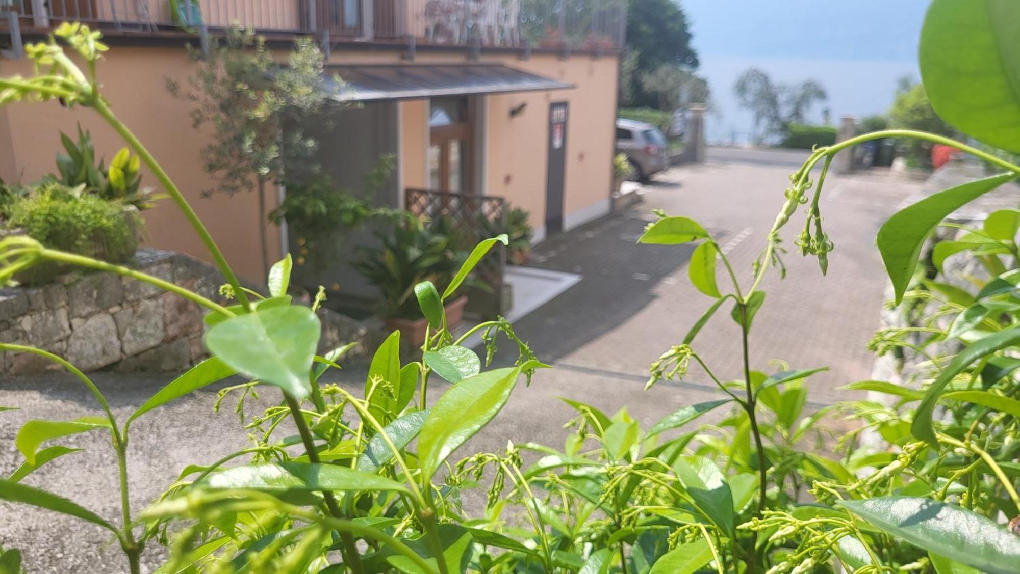 Residence Villa Margherita Brenzone Extérieur photo